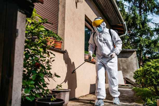 Best Bed Bug Extermination  in Chatsworth, IL