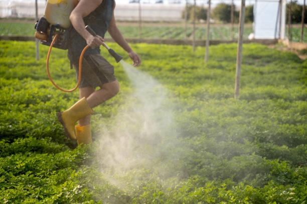 Professional Pest Control in Chatsworth, IL