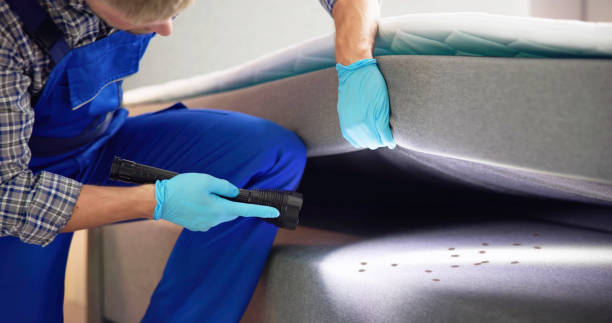 Best Ant Control Services  in Chatsworth, IL