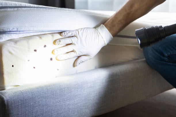 Best Local Pest Control Services  in Chatsworth, IL