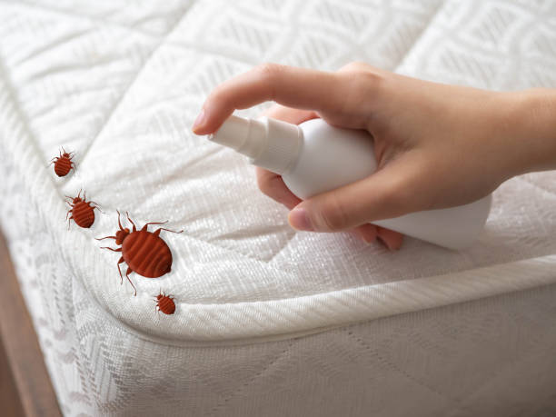 Best Cockroach Control Services  in Chatsworth, IL