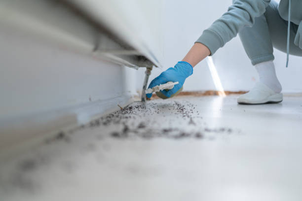 Best Emergency Pest Control  in Chatsworth, IL